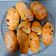 Cooksnap dari Lie untuk resep Cranberry Cream Cheese Bread