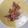 طـبخآت يآسـمـين🌹🌷's cooksnap of when they made شوربة عدس بالبصل المقرمش 😋.