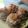 4everatwin's cooksnap of when they made The Best Stuffed Mushrooms.