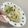 shishi 的 宮保高麗菜 cooksnap