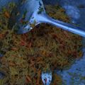 Cooksnap dari Zulmahdi Mahdi untuk resep Bihun Goreng Sayuran