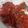 El cooksnap de Erica Walter cuando hizo Tomates confitados.
