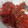 El cooksnap de Erica Walter cuando hizo Tomates confitados.