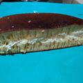 Cooksnap dari Dapur Esmo untuk resep Martabak manis #5