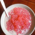 Cooksnap dari Nila Rahayu untuk resep Bubur sagu mutiara