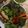 รูป Cooksnap ของ Wanwipha Sattathara เมื่อเขาทำ สูตรหมักไก่แสนอร่อย!!