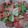 Cooksnap dari Ziporarehu Ella untuk resep CHRISTMAS COOKIES | Kue Kering Natal dengan Royal Icing