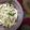 Cooksnap dari Zuhrotul Wardah untuk resep Diet mayo day 3 & 10