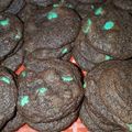 ayoung1979's cooksnap of when they made Double Chocolate Chip Cookies.