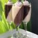 Cooksnap dari Indah Klein untuk resep Panna Cotta Chocolate