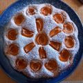 il stefania divittorio quando ha preparato Torta di albicocche