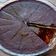 Cooksnap dari Tanti Hasti untuk resep Puding Custard lapis Coklat