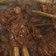 Cooksnap dari Debbie Diana untuk resep Bistik Kambing (kurban)