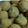 Meenakshi Verma's cooksnap of when they made Coconut Rava Laddoo.