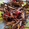 Cooksnap dari Aulya Rahmi untuk resep Teri asam manis pedas