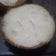 El cooksnap de Abrü Lobianco cuando hizo Muffins de Banana.