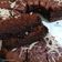 Cooksnap dari diah nurhayati untuk resep Brownies Kukus Chocolatos Lembut (2 Telur, Takaran Sendok)