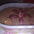 Cooksnap dari Novita Indrayanti untuk resep Salad Buah Tanpa Mayonaise