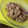 El cooksnap de Ana Cutillas Palazón cuando hizo Arroz con pollo.
