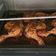 Cooksnap dari puspita ningrum untuk resep Chicken roasted simpel / ayam panggang oven