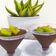 Cooksnap dari Citra Amalia untuk resep Puding Coklat ala Turki (Kakaolu Puding)