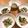 Natsuko Nadoyama's cooksnap of when they made 「Grilled lemon Chicken Salad」.