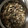 El cooksnap de Maria Mar Martin cuando hizo Almejas a la marinera#galiza #diadapatria.