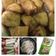 Cooksnap dari Yuli Yuliani untuk resep Pempek Dos