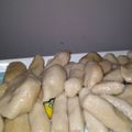 Cooksnap dari Umi Susmiyati untuk resep Pempek Anti gagal-empuk-endess