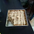 El cooksnap de carlos cocinero cuando hizo Pie de manzana fácil y rápido.