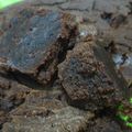 Cooksnap dari Rizal Gunawan untuk resep Eggless Brownies Moist-Simple