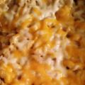 katelynn1595's cooksnap of when they made Cheesy tuna casserole.
