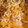 katelynn1595's cooksnap of when they made Cheesy tuna casserole.