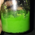 Cooksnap dari Mery Lim untuk resep Selai srikaya pandan