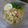 Cooksnap dari Rety Trianasari untuk resep Soto Ayam Kuning