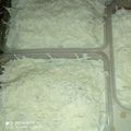 Cooksnap dari Melisa Saputri untuk resep Setup Roti Tawar