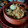 Ruma Guha Das Sharma's cooksnap of when they made Chicken keema Biryani.