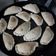 El cooksnap de Sil Valdivia cuando hizo Tapas de empanadas caseritas para horno.