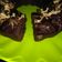Cooksnap dari Verna untuk resep Brownies kukus lembut