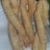 El cooksnap de Alberto Mieres cuando hizo Churros fáciles y que no explotan.