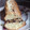 El cooksnap de Graciela Laxague cuando hizo Budín de Vainilla con Chips de Chocolate.