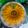 Cooksnap dari devita untuk resep Puding Labu Kuning Waluh Pumpkin
