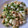El cooksnap de Begoña Marcos Buján cuando hizo Ensalada de espinacas con tofu.