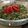 صورة من Mrs Ch3f، شاركها بعد تجربة وصفة أروع تبولة 🍅