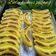 Cooksnap dari Vita Ningrum untuk resep Banana cake kukus