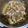 รูป Cooksnap ของ athenappp เมื่อเขาทำ อาหารเด็ก ซี่โครงหมูตุ๋นเปื่อย