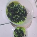 Cooksnap dari bunda zayn untuk resep Es krim alpukat oreo