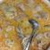 Cooksnap dari Achmad Kiano untuk resep Gulai Ayam Nangka Muda