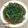 棠棠 的 【家的味道】家常燙青菜 cooksnap