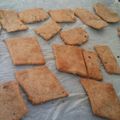 El cooksnap de Karmen cuando hizo Crackers integrales.